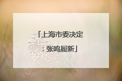 上海市委决定：张鸣履新