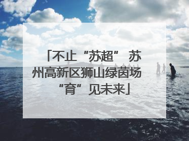 不止“苏超” 苏州高新区狮山绿茵场“育”见未来