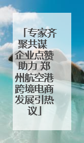 专家齐聚共谋 企业点赞助力 郑州航空港跨境电商发展引热议