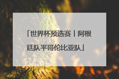 世界杯预选赛丨阿根廷队平哥伦比亚队