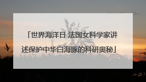 世界海洋日 法国女科学家讲述保护中华白海豚的科研奥秘