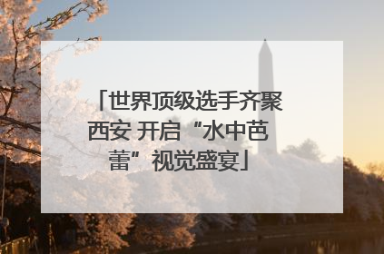 世界顶级选手齐聚西安 开启“水中芭蕾”视觉盛宴