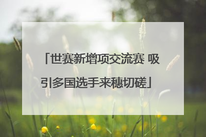 世赛新增项交流赛 吸引多国选手来穗切磋