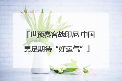 世预赛客战印尼 中国男足期待“好运气”