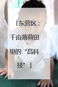 东营区：千亩薄荷田里的“高科技”