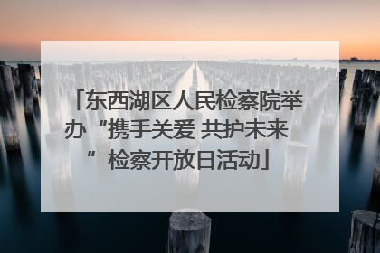 东西湖区人民检察院举办“携手关爱 共护未来”检察开放日活动