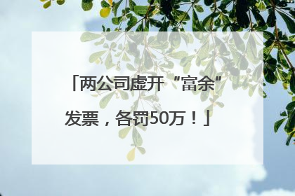 两公司虚开“富余”发票，各罚50万！
