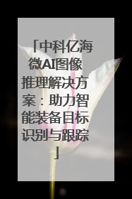 中科亿海微AI图像推理解决方案：助力智能装备目标识别与跟踪