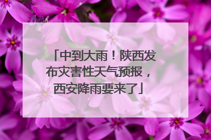 中到大雨！陕西发布灾害性天气预报，西安降雨要来了