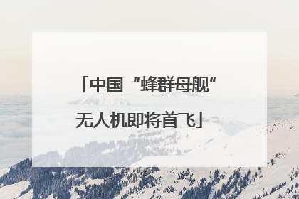 中国“蜂群母舰”无人机即将首飞
