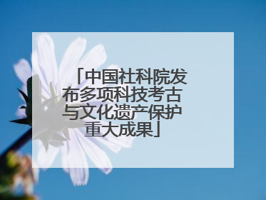 中国社科院发布多项科技考古与文化遗产保护重大成果