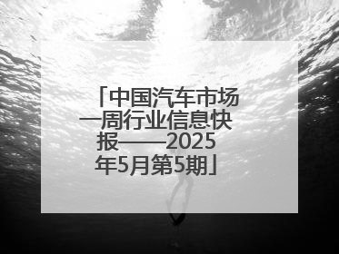 中国汽车市场一周行业信息快报——2025年5月第5期
