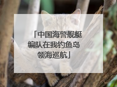 中国海警舰艇编队在我钓鱼岛领海巡航