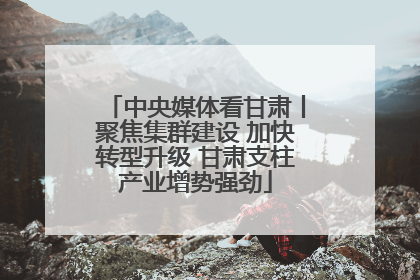 中央媒体看甘肃丨聚焦集群建设 加快转型升级 甘肃支柱产业增势强劲