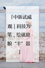 中新武威观｜科技为笔，绘就夏粮“丰”景