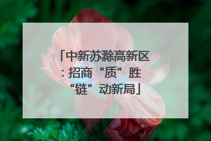 中新苏滁高新区：招商“质”胜 “链”动新局