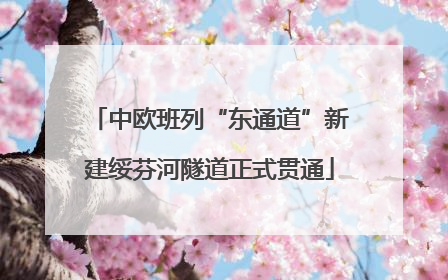 中欧班列“东通道”新建绥芬河隧道正式贯通