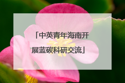 中英青年海南开展蓝碳科研交流