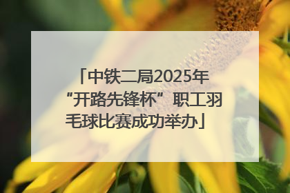 中铁二局2025年“开路先锋杯”职工羽毛球比赛成功举办