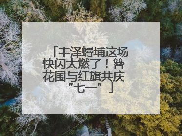 丰泽蟳埔这场快闪太燃了！簪花围与红旗共庆“七一”