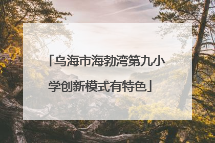 乌海市海勃湾第九小学创新模式有特色