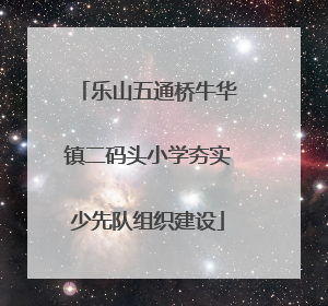 乐山五通桥牛华镇二码头小学夯实少先队组织建设