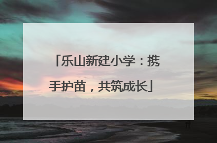 乐山新建小学：携手护苗，共筑成长