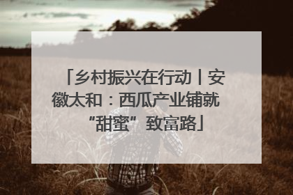 乡村振兴在行动丨安徽太和：西瓜产业铺就“甜蜜”致富路