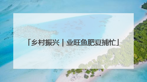 乡村振兴｜业旺鱼肥夏捕忙