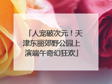 人宠破次元！天津东丽郊野公园上演端午奇幻狂欢