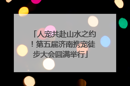 人宠共赴山水之约！第五届济南携宠徒步大会圆满举行