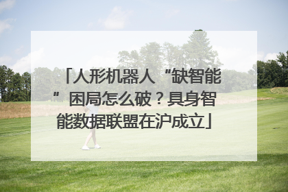 人形机器人“缺智能”困局怎么破？具身智能数据联盟在沪成立