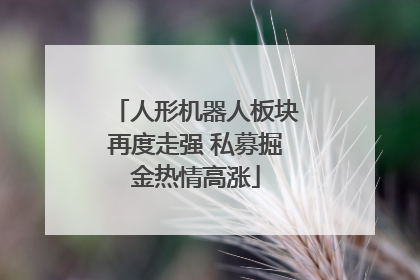 人形机器人板块再度走强 私募掘金热情高涨