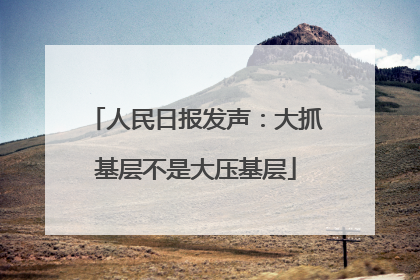 人民日报发声：大抓基层不是大压基层