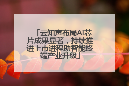 云知声布局AI芯片成果显著，持续推进上市进程助智能终端产业升级