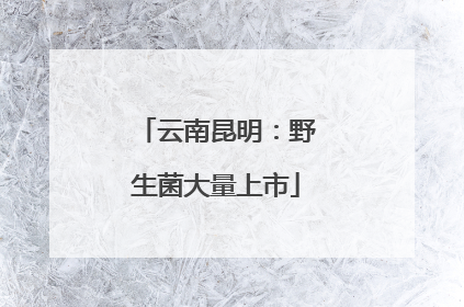 云南昆明：野生菌大量上市