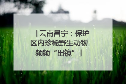 云南昌宁：保护区内珍稀野生动物频频“出镜”