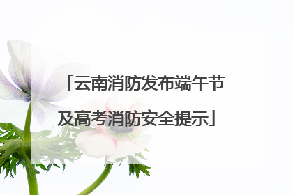 云南消防发布端午节及高考消防安全提示