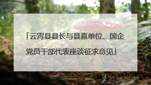 云霄县县长与县直单位、国企党员干部代表座谈征求意见