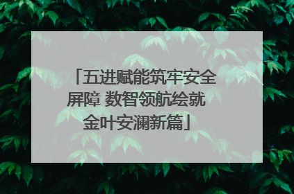 五进赋能筑牢安全屏障 数智领航绘就金叶安澜新篇