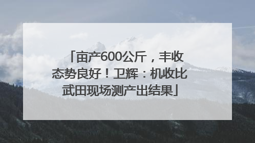 亩产600公斤，丰收态势良好！卫辉：机收比武田现场测产出结果