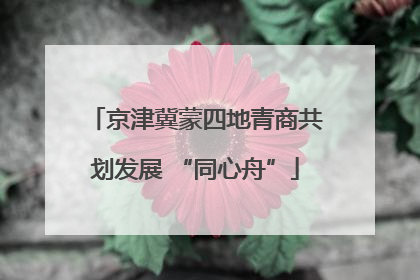 京津冀蒙四地青商共划发展 “同心舟”