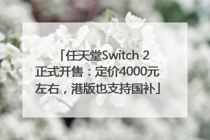 任天堂Switch 2正式开售：定价4000元左右，港版也支持国补