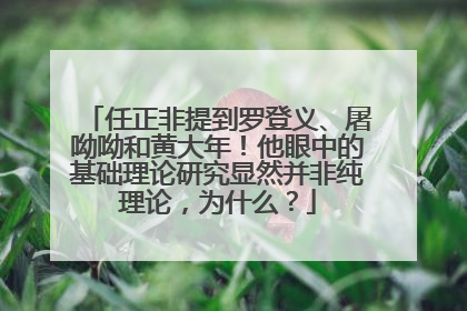 任正非提到罗登义、屠呦呦和黄大年！他眼中的基础理论研究显然并非纯理论，为什么？