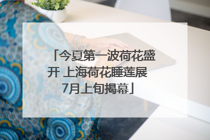 今夏第一波荷花盛开 上海荷花睡莲展7月上旬揭幕