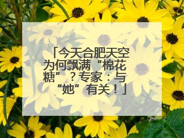 今天合肥天空为何飘满“棉花糖”？专家：与“她”有关！