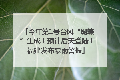 今年第1号台风“蝴蝶”生成！预计后天登陆！福建发布暴雨警报