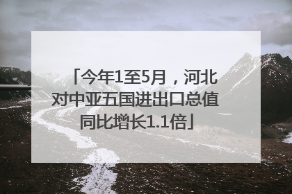 今年1至5月，河北对中亚五国进出口总值同比增长1.1倍