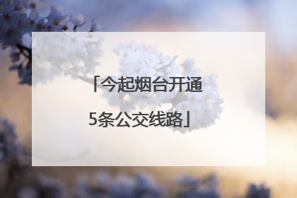 今起烟台开通5条公交线路