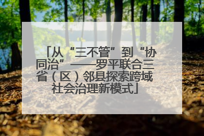 从“三不管”到“协同治”——罗平联合三省（区）邻县探索跨域社会治理新模式